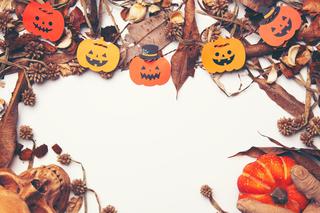 Halloween 2021: co robić z dziećmi, przyjaciółmi, rodziną?