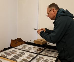 I Międzynarodowy Dzień Wymiany Owadów i Targi Entomologiczne w Bytomiu