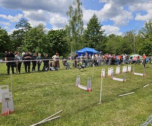 Festiwal Przyjaciół Zwierząt w Olsztynie. Park Centralny opanowały radosne pieski