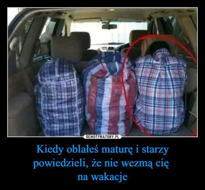 Memy o maturze