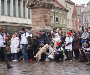 Golden Retriever WOŚP w Poznaniu