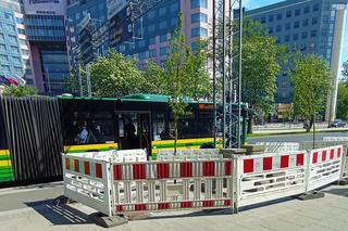 Nieznany sprawca podpalił świeżo posadzone drzewo na placu Rodła