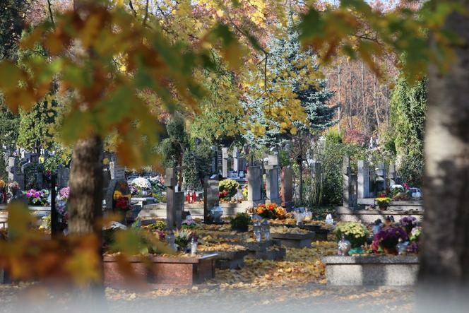 Wszystkich Świętych 2020. Przerażający widok z cmentarzy w Warszawie
