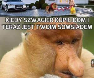 Memy na Dzień Szwagra 