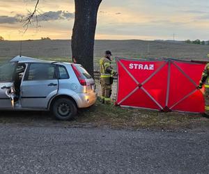 Na prostej zjechał z drogi i uderzył w drzewo