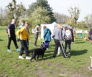 Dogtrekking w Poznaniu