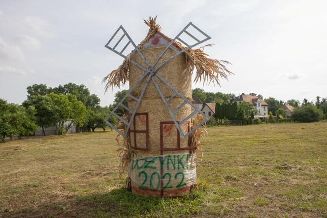 Dożynki