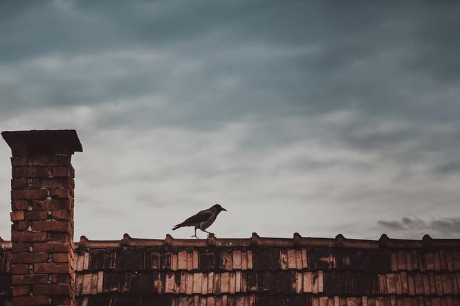 W Rzeszowie NIE będzie dronów sprawdzających jakość powietrza i stacji pomiarów