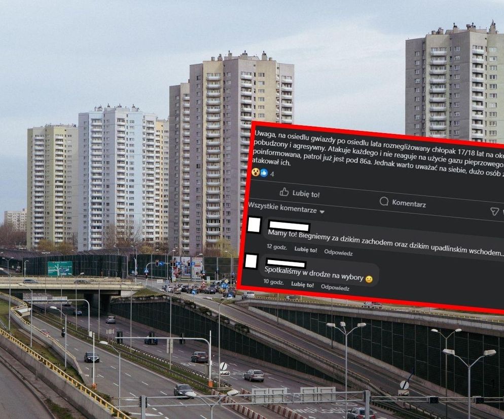 Półnagi mężczyzna atakował ludzi idących na wybory