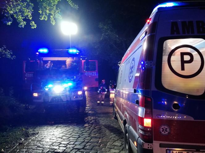 Tragiczny wypadek pod Braniewem. Audi wbiło się w drzewo. Nie żyje 19-latek [ZDJĘCIA]