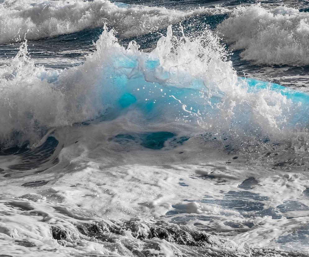 Morze wyrzuciło na brzeg niesamowite zwierzę. To pierwszy taki przypadek od 100 lat