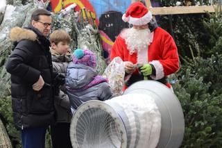 Morawiecki z wielką choinką. Premier przygotowuje się do świąt