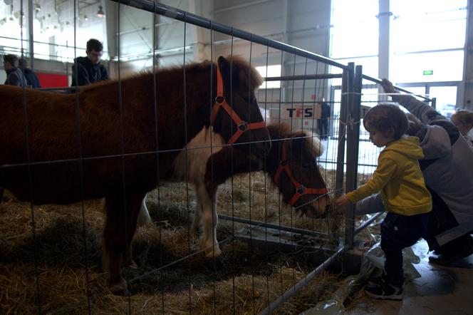 ZOOPARK 2019 w Lublinie. Wystawa pełna niezwykłości. Zobacz zdjęcia!