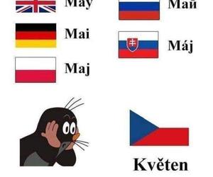 Czeskie memy są najlepsze! Będziecie płakać ze śmiechu
