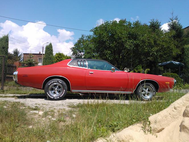 Kolekcja Darka Lemańskiego