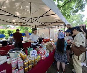 Kalisz. Trwa Festiwal Smaków Świata