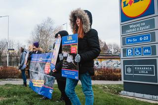 Protest przed sklepem Lidl w Katowicach