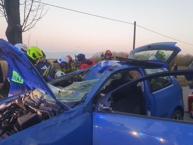 Samochód zderzył się z łosiem. Kierowca pilnie zabrany śmigłowcem LPR do szpitala