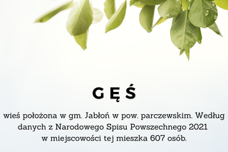 Te nazwy lubelskich miejscowości kojarzą się ze zwierzętami!