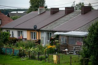 Do 2032 roku ma całkowicie zniknąć z Polski. Teraz można usunąć go za darmo 