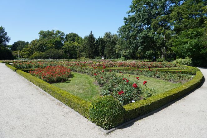 Ogród Botaniczny w Poznaniu 