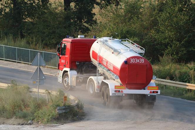 Pożar na północy Wrocławia. Zagrożonych było nawet 40 hektarów