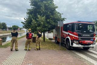 Będzin. Mały chłopczyk wpadł do rzeki