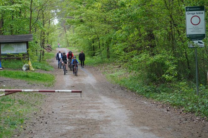 Góra Pierścienica w Kielcach i okolice
