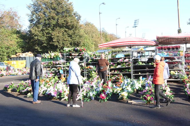 Giełda kwiatowa przy Drodze Dębińskiej 