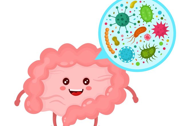 Psychobiotyki - bakterie, które wpływają na zdrowie psychiczne