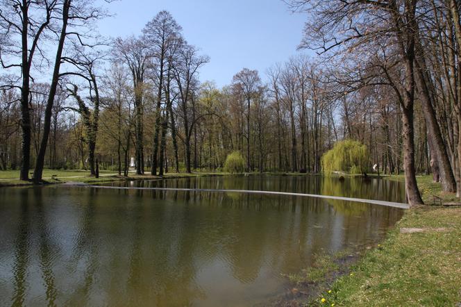 Centrum Rzeźby Polskiej w Orońsku zaprasza na spacery