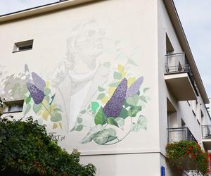 Agnieszka Osiecka mural ul. Francuska 33 w Warszawie