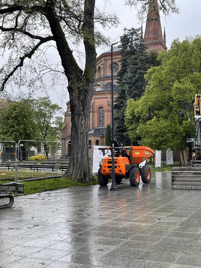 Społecznicy sprawdzili, co się dzieje ze starymi drzewami podczas rewitalizacji placu Wolności 