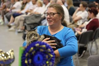 Wystawa kotów rasowych w Lublinie przyciągnęła tłumy!
