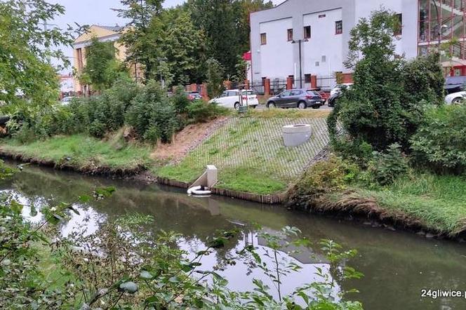 Nieznana substancja zatruła rzekę Kłodnica w Gliwicach