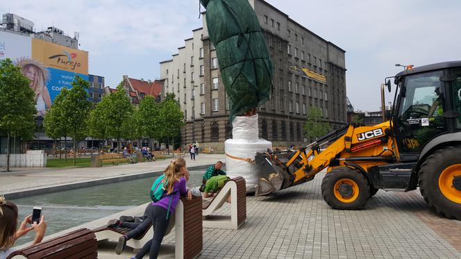 Palmy wróciły na rynek w Katowicach