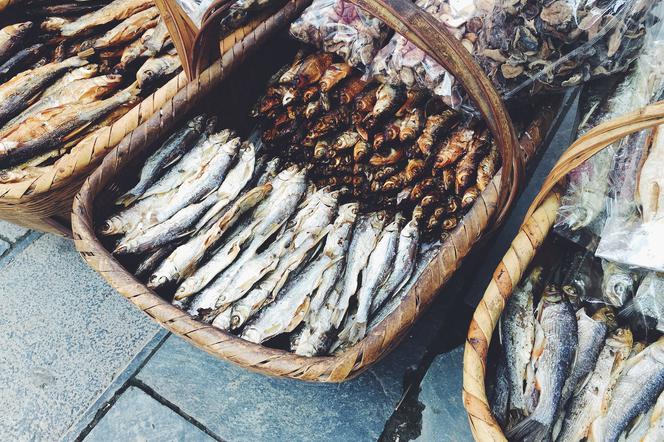 Świeżo złowione ryby - jak podczas mazurskiego rejsu przyrządzić je na ognisku ?