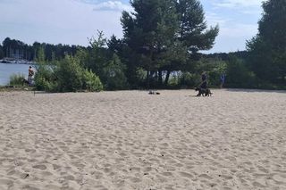 Tragedia nad Zalewem Sulejowskim. Nie żyje 15-letni Kacper. Szkoła żegna swojego ucznia [ZDJĘCIA]