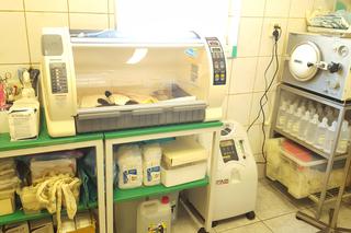 Inkubator dla małych zwierząt w sosnowieckim schronisku