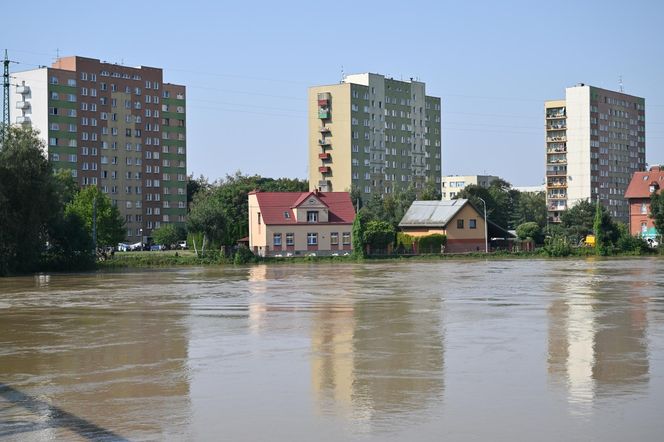 Tak wygląda Oława w czasach powodzi 2024 roku. Poruszający materiał