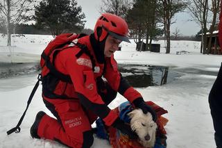 Pod psem załamał się lód na środku stawu. Strażacy ruszyli ratować czworonoga