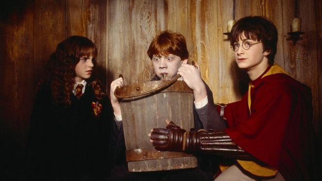 Harry Potter i Komnata Tajemnic