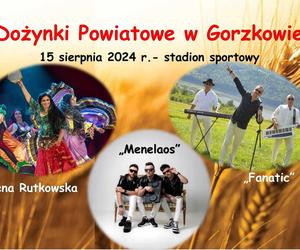 Dożynki 2024 niedaleko Lublina! Gdzie warto się wybrać w sierpniu i wrześniu? Mamy LISTĘ!