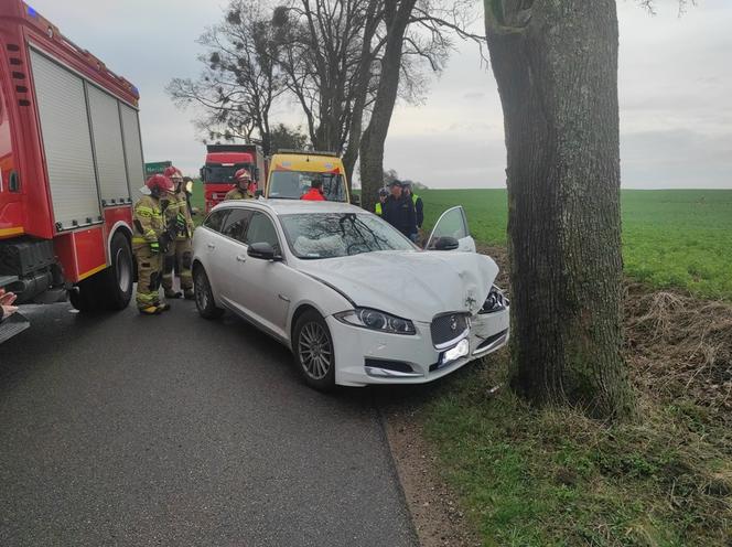 Wypadek w Nastajkach. Jaguar uderzył w drzewo. Kierowca trafił do szpitala! [ZDJĘCIA]
