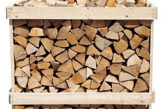 Ile kosztuje drewno kominkowe? Sprawdzamy ceny drewna na opał w listopadzie 2022