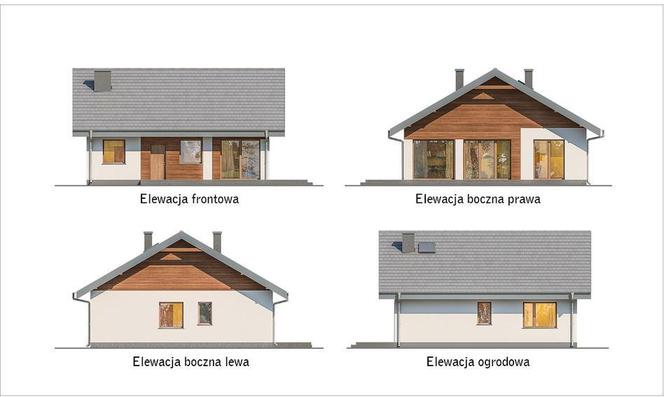 C333p Miarodajny wariant XV - wizualizacje, plany, rysunek