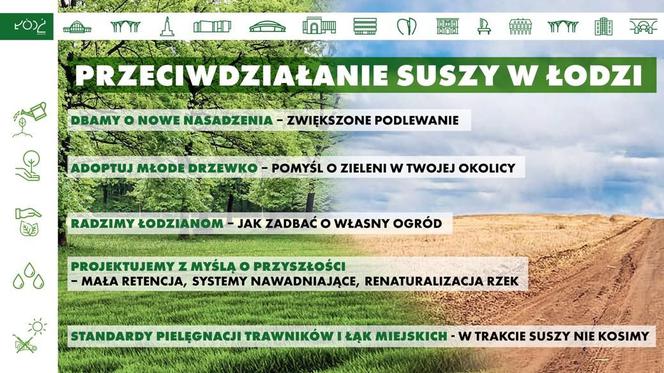 Nadchodzi susza. Jak Łódź przygotowuje się do pielęgnacji zieleni?