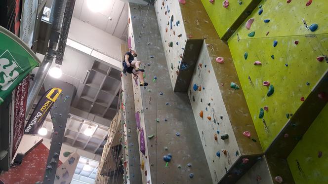 Akademickie Mistrzostwa Polski we wspinaczce sportowej