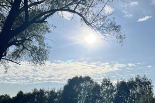 M jak miłość po wakacjach 2023. Paweł (Rafał Mroczek)