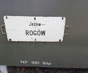 Rogowska kolej wąskotorowa. To perełka wśród zabytków techniki w Łódzkiem